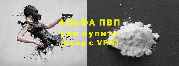 стаф Кинешма