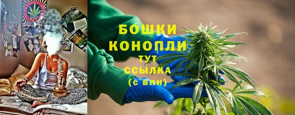 винт Ладушкин