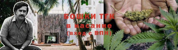 винт Ладушкин