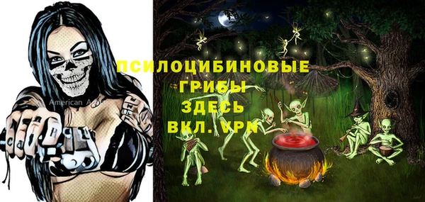 стаф Кинешма