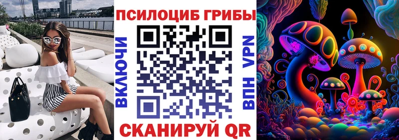 Купить закладки  Задонск  Псилоцибиновые грибы ЛСД 